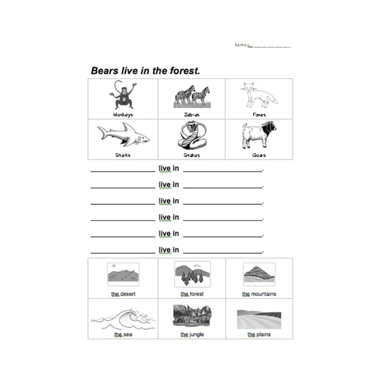 Elementary school Worksheet | Animal Habitats Worksheet (Beginner ESL/EFL)