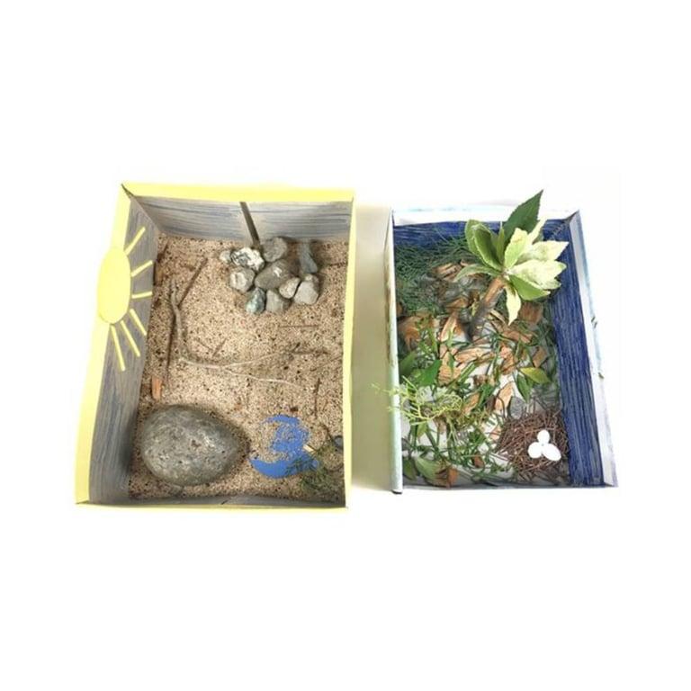 Elementary school Lesson Idea | Make a Miniature Habitat
