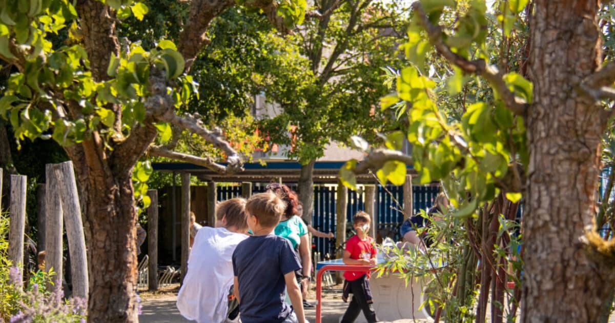 Voucher Scheme Green Revolution Zeeland Schoolyards