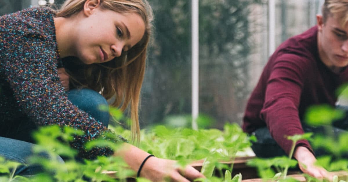 Get started with food education in October!