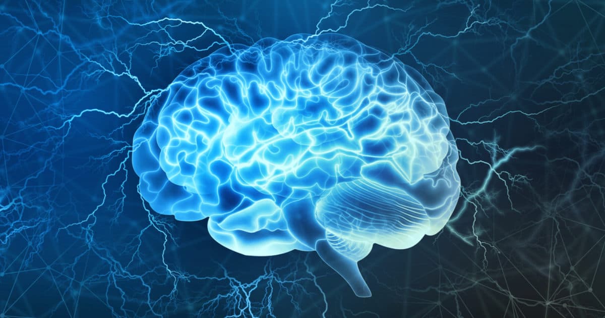 Webinar 'Discover the Adolescent Brain'
