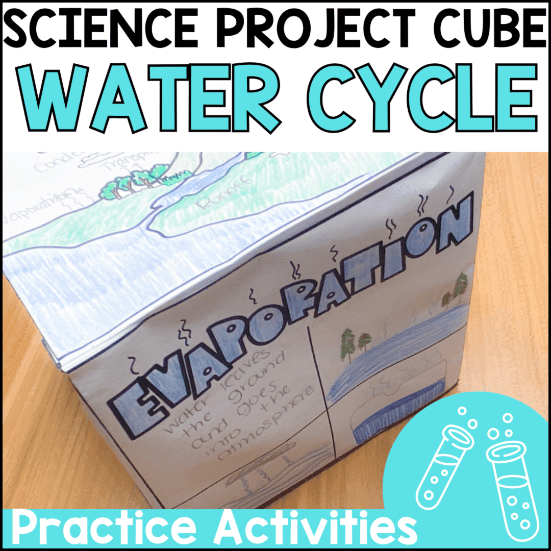 Elementary school Material | Water Cycle 3D Project Cube