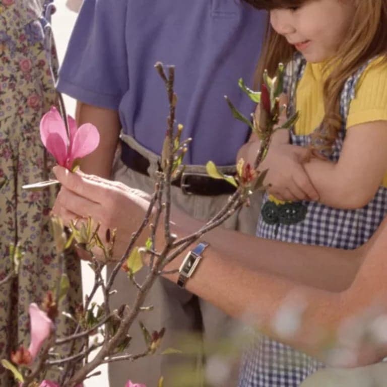 Elementary school Lesson Idea | 1st Grade Lesson on the Parts of a Plant