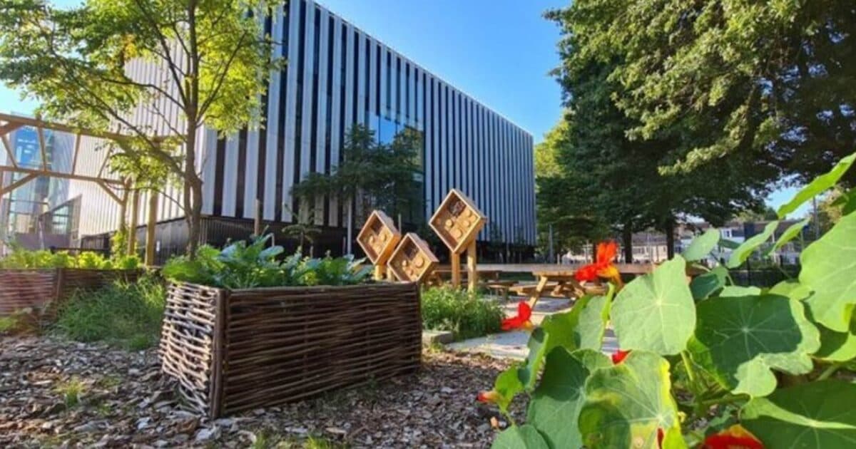 Sustainability in Education Challenge