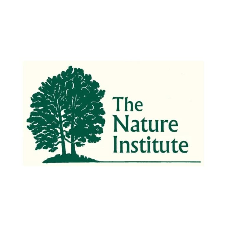 Elementary school Blog | Educating for Sustainability Guide