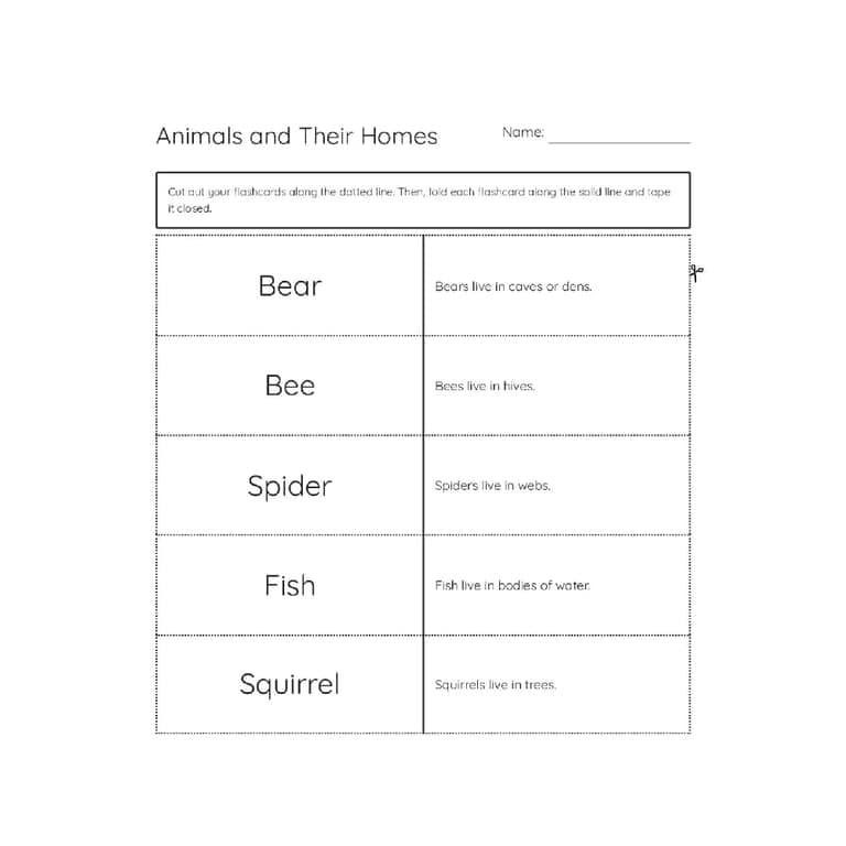 Elementary school Flashcard | Animal Flashcards