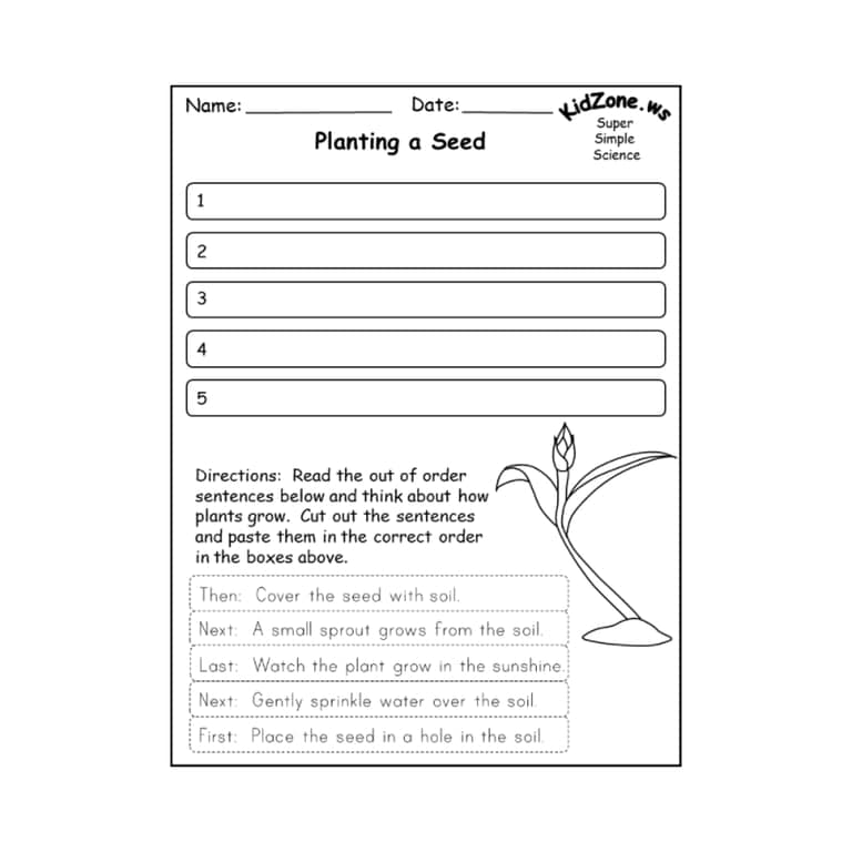 Elementary school Worksheet | Planting a Seed
