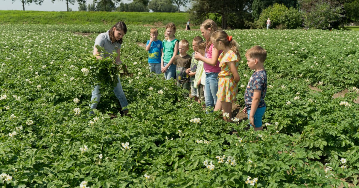 With Akkerbouw Avonturen, children learn where their food comes from
