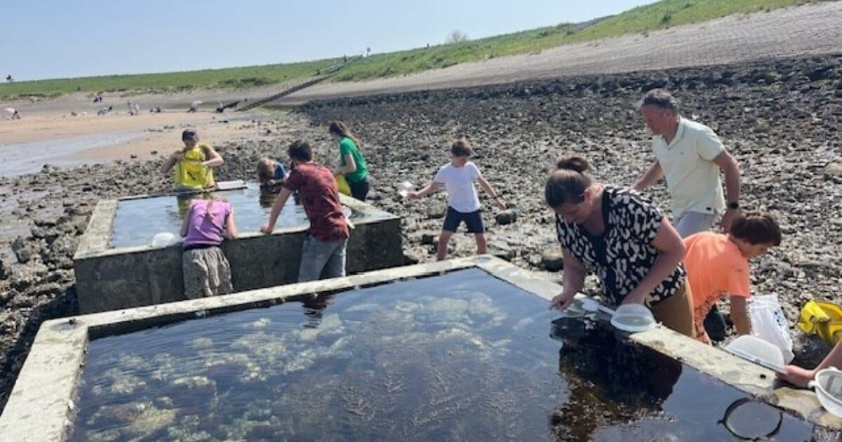 Pilot lessons for secondary education about Oosterschelde National Park