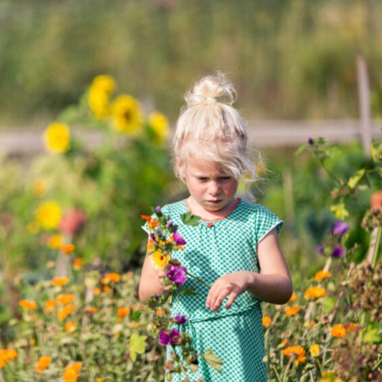 Elementary school Workshop | Ga Mee(r) Naar Buiten!