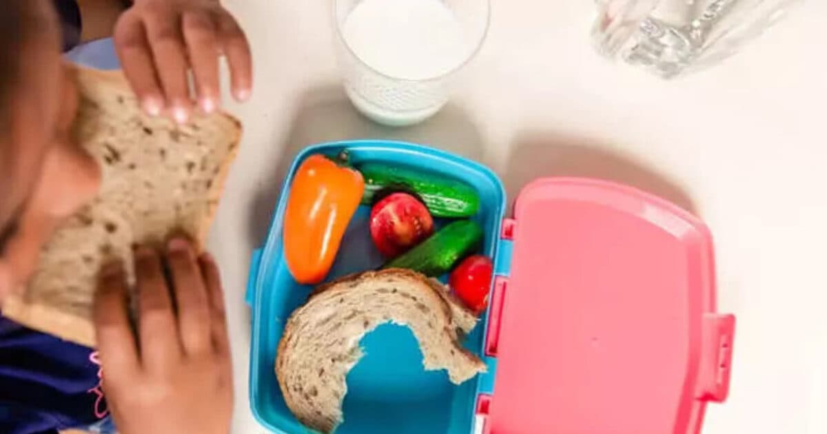 National school lunch programme for primary schools is essential
