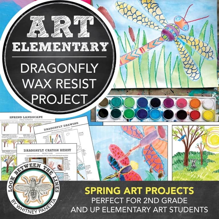 Elementary school Lesson Package | Spring Art Project Dragonfly Crayon Resist
