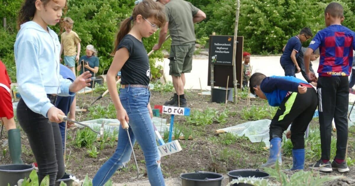 Online information session for supporters of School Garden Week