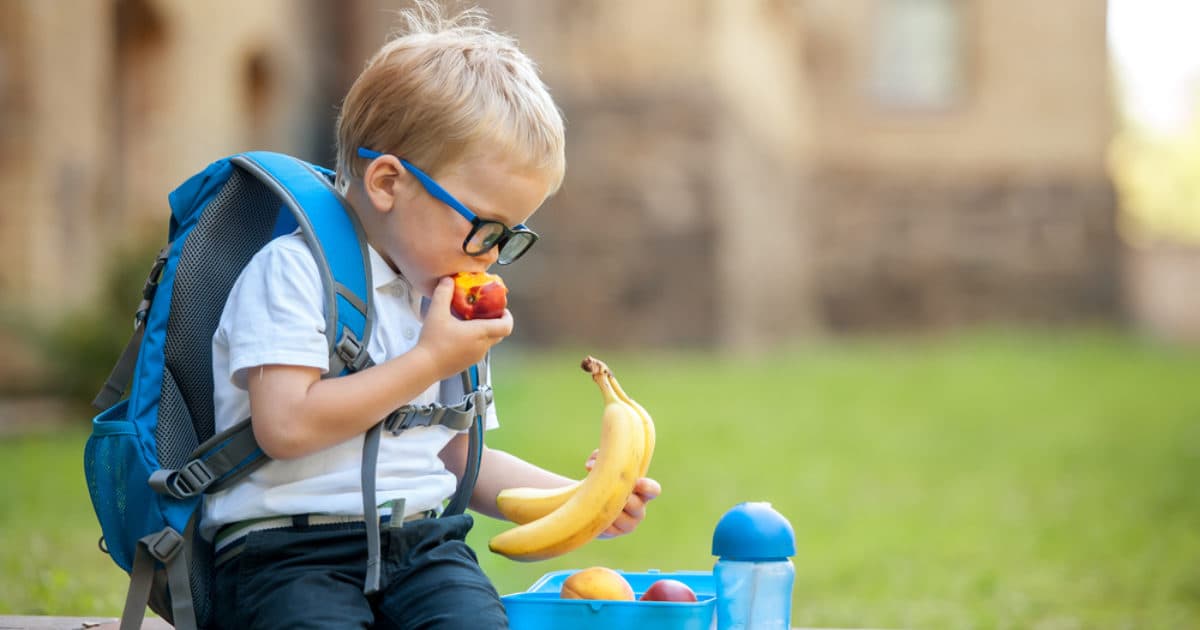 Record number of participating schools in the fruit project