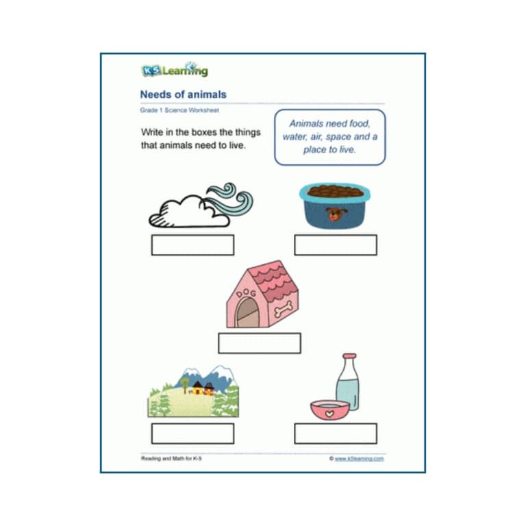 Elementary school Worksheet | Needs of Animals