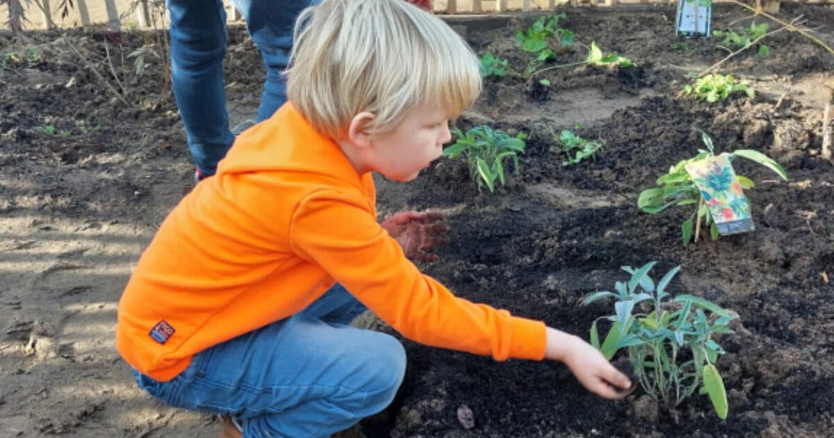 Food Forest Gardens looking for a place in Utrecht East