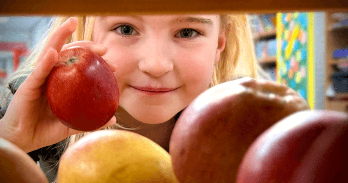 Registration dates for EU School Fruit and EU School Milk announced