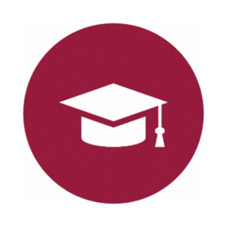 Elementary school Course | Online Course: An Introduction to Attachment & Trauma in Educational Settings