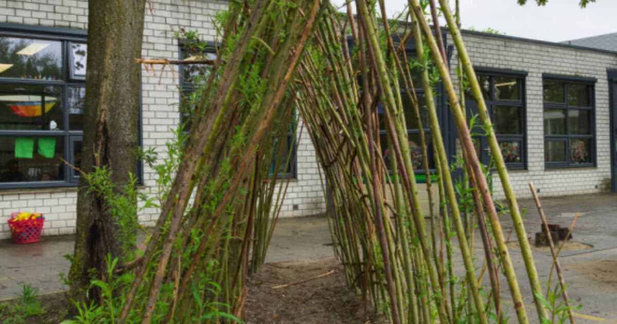 Win a willow hut for your schoolyard