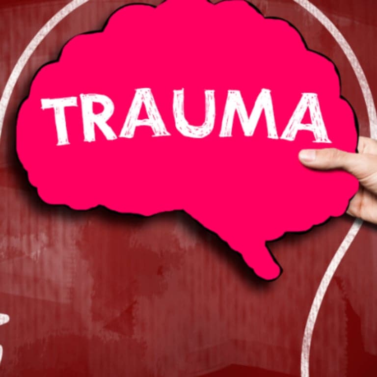 Elementary school Workshop | Trauma Informed Classrooms