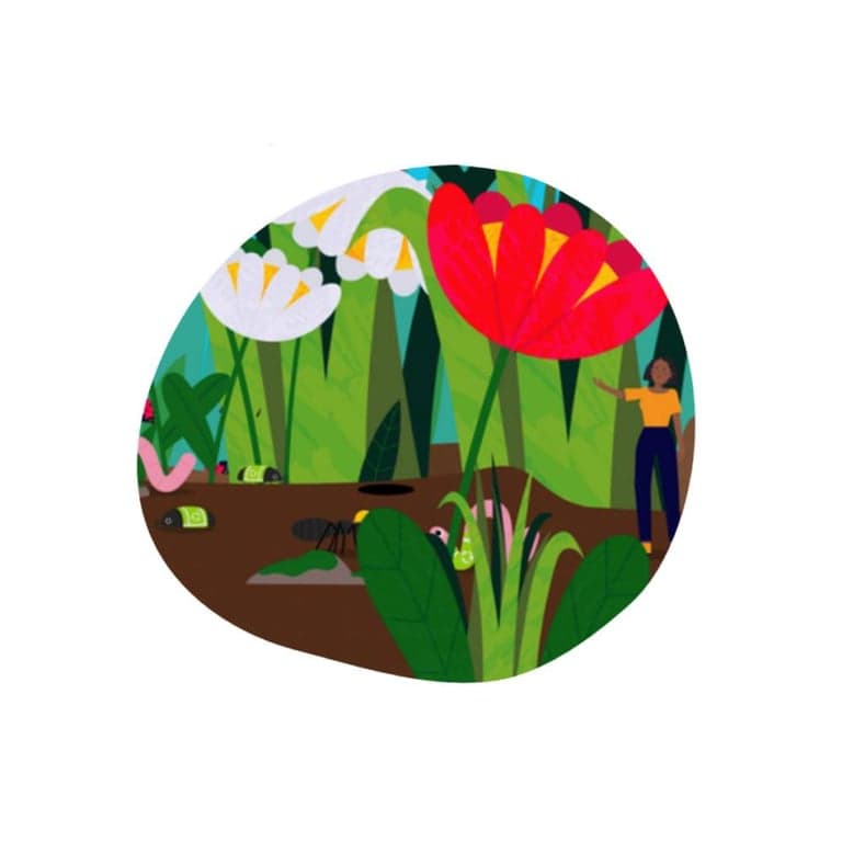 Elementary school Lesson Sequence | Tiny Creatures, Big Jobs: The Bugs That Make Food Possible