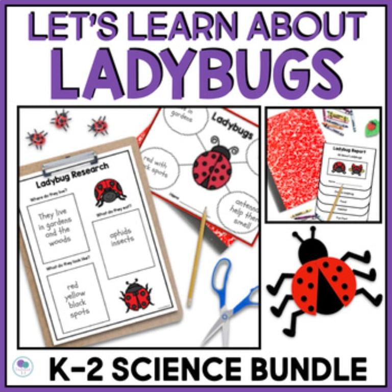Elementary school Lesson Package | All About Ladybugs Science Thematic Unit