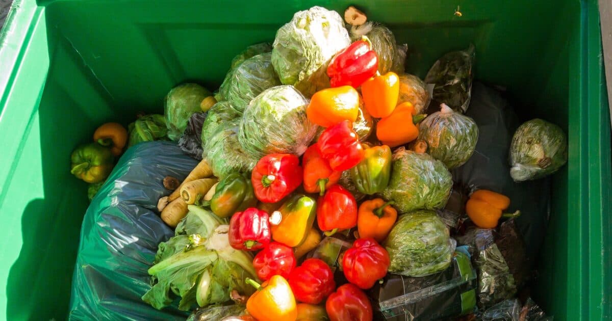 Left Over Recipe Challenge for VMBO and MBO in Overijssel