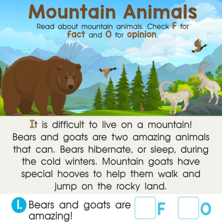 Elementary school Worksheet | Mountain Animals Worksheet