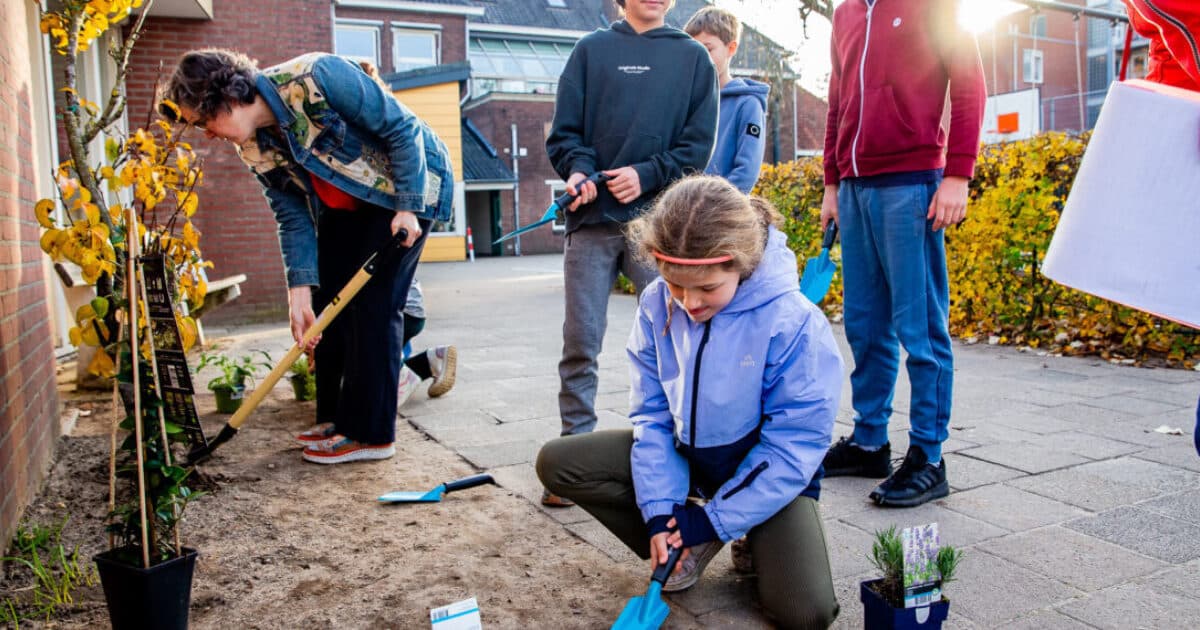 Thirteen Drenthe primary schools are renovating their schoolyards