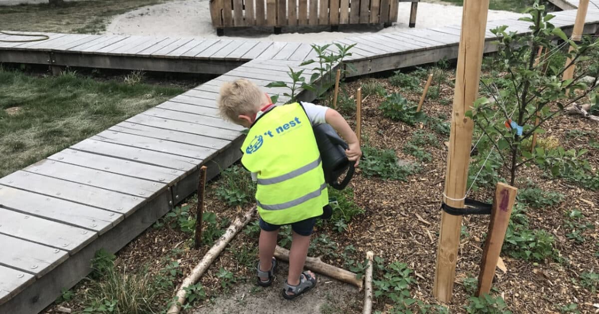 Picking garden in school grounds gets pupils excited about (edible) greenery