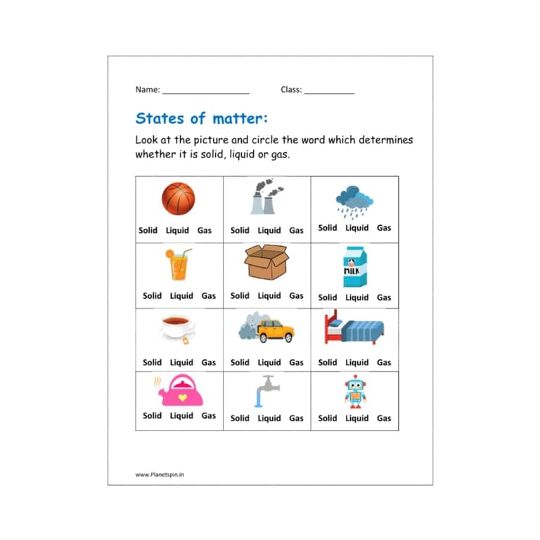 Elementary school Worksheet | The States of Matter Worksheet