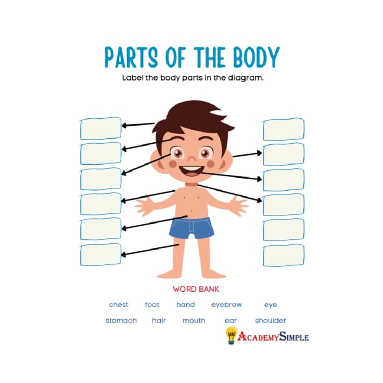 Elementary school Worksheet | The Human Body Parts Worksheet – Head Shoulder Knees and Toes #5