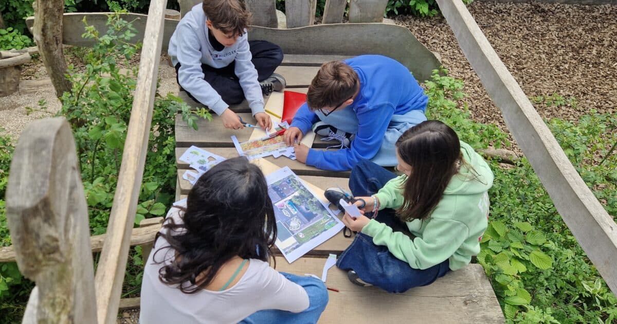 Free teaching package and toolbox ‘School Roof of the Future’