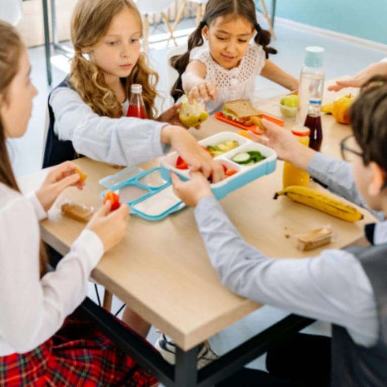Elementary school Course | (S03) Introduction to Interoception – 22 April 2026