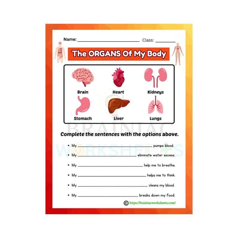 Elementary school Worksheet | Science Human Organs Complete the Sentences for Class 5 