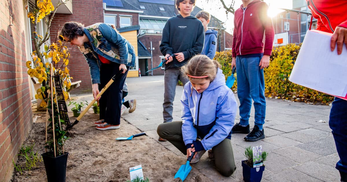 Three Nijmegen schoolyards are becoming greener, healthier and more adventurous