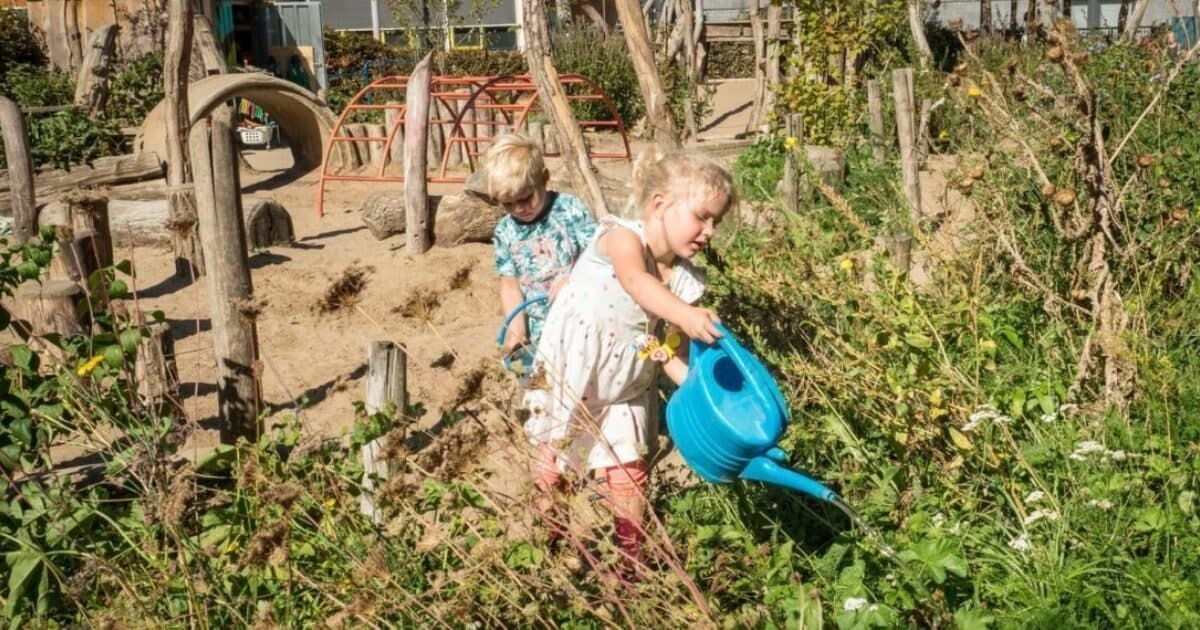 Wanted: primary schools that are going to green their schoolyard