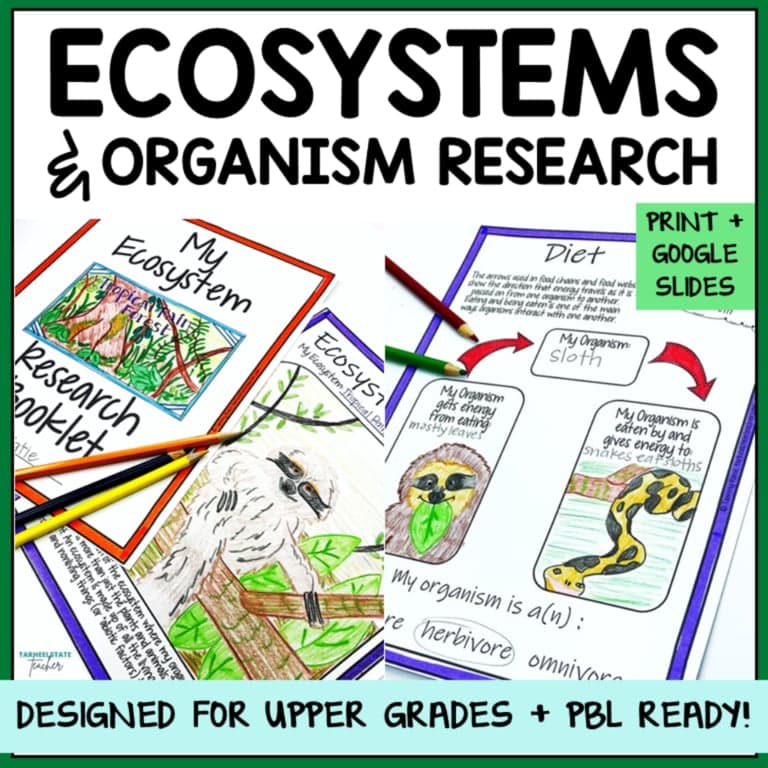Elementary school Material | Ecosystem and Biomes Project - Animal Research Graphic Organizers Bundle