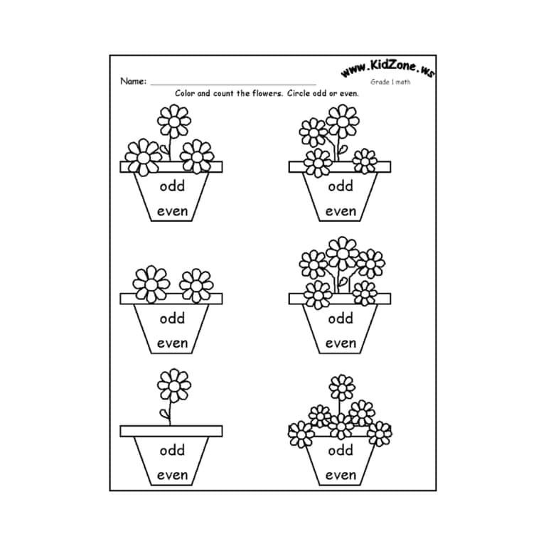 Elementary school Worksheet | Odd or Even 1 - Flowers/Summer Theme Activity Worksheet