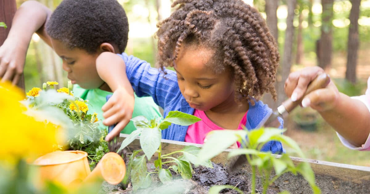 School Garden Month