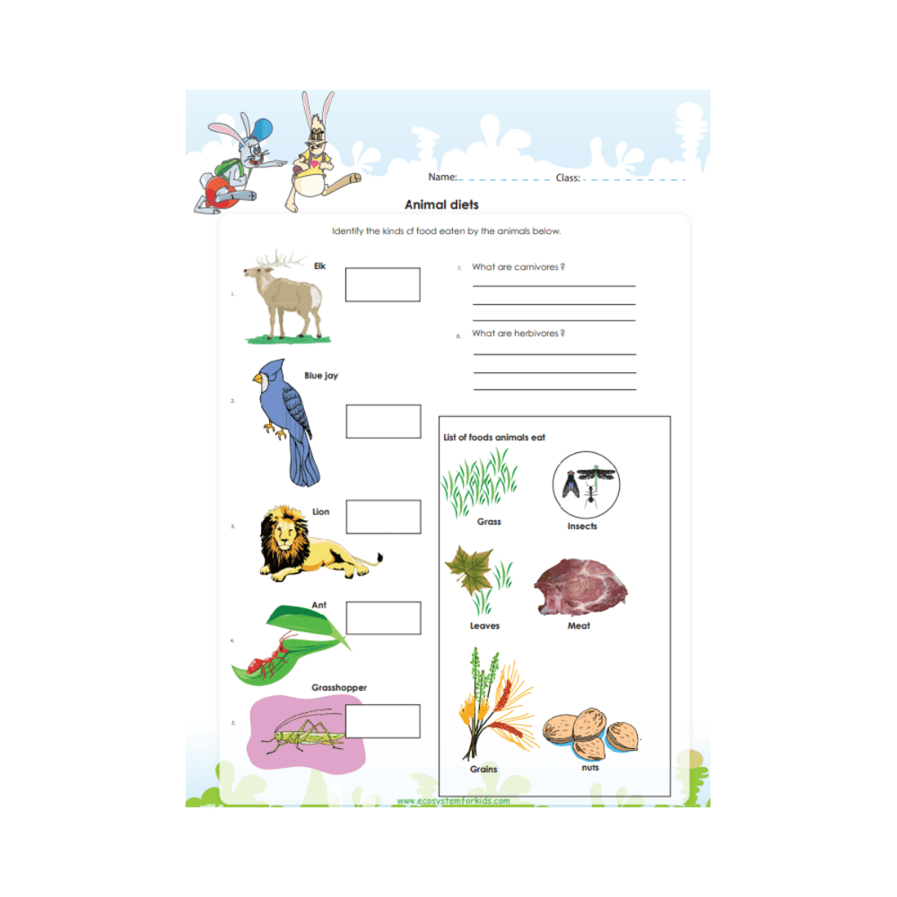 Elementary school Worksheet | Animal Diets