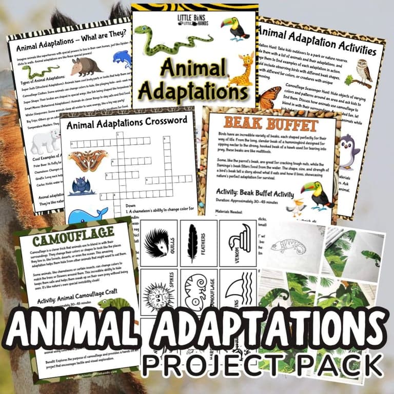 Elementary school Lesson Package | Animal Adaptations Activities for Kids