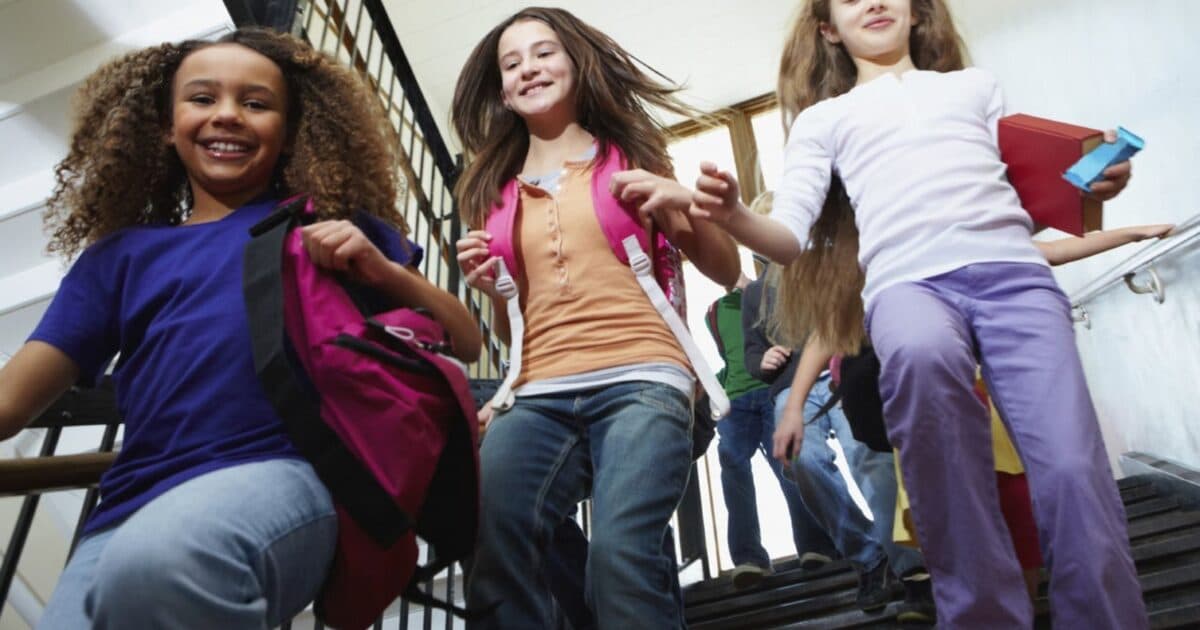 An integrated approach to well-being at school: research insights at a glance
