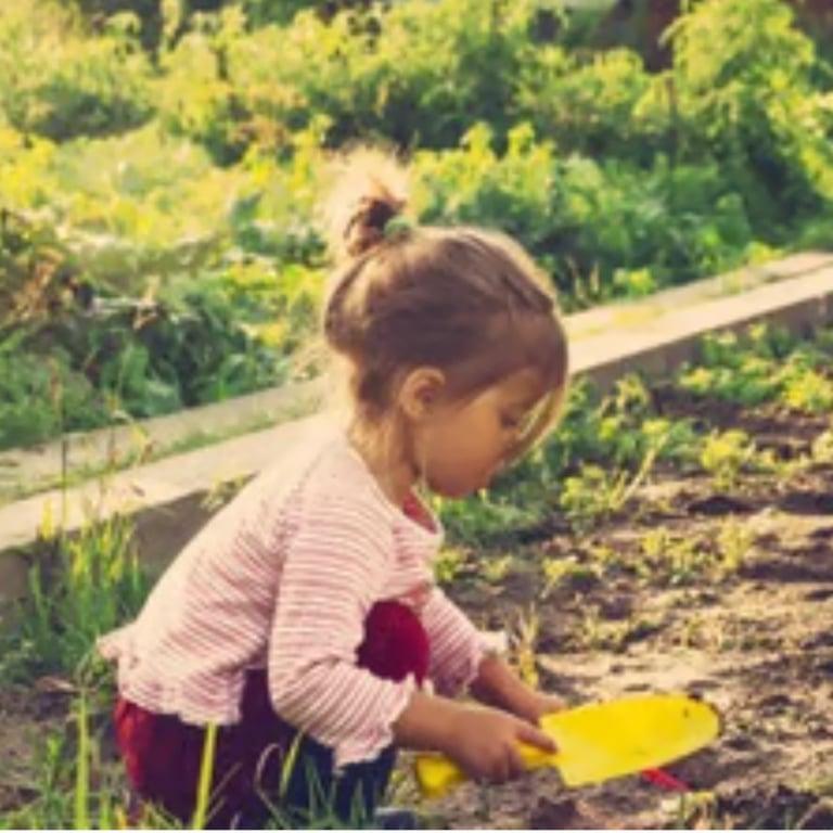 Elementary school Webinar | Understanding the Natural World Through Outdoor Play Early Years