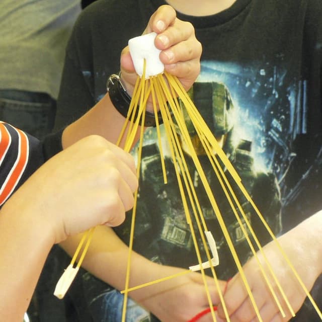 Elementary school Blog | The Marshmallow Challenge