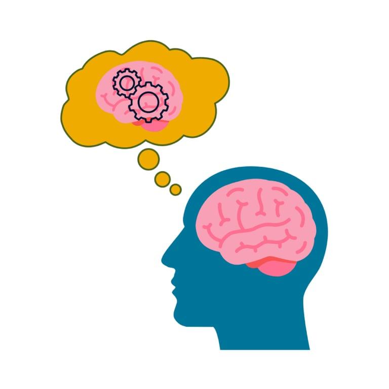 Elementary school Study Program | Cognitive Coach Course