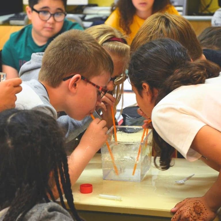 Elementary school Course | Climate Change Education: From Knowledge to Action