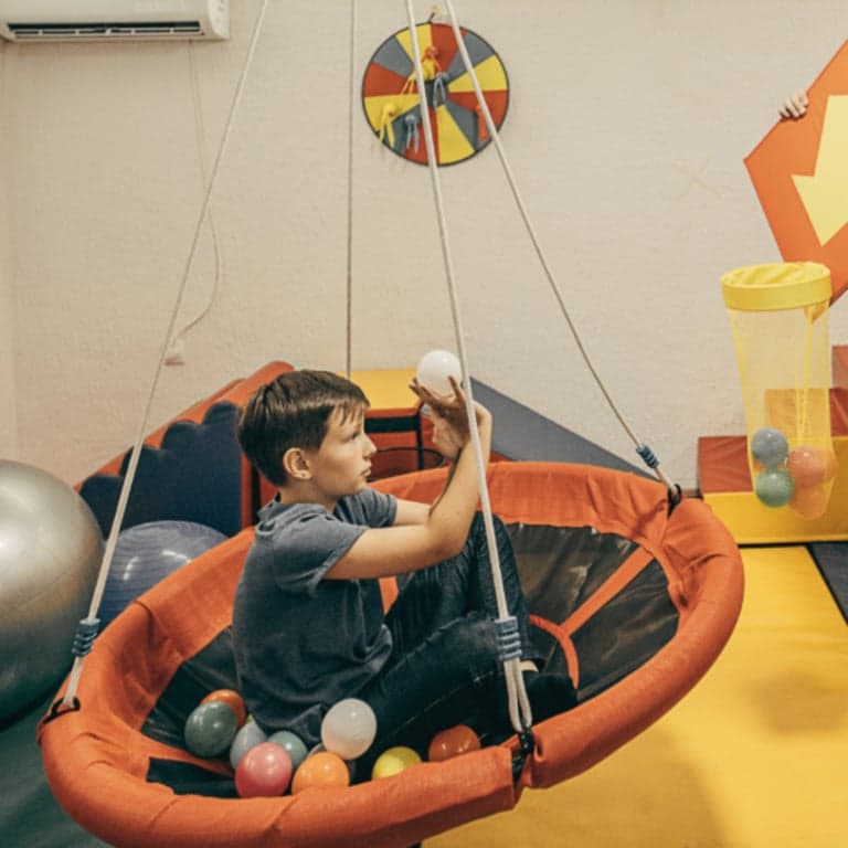 Elementary school Course | Principles of Sensory Integration