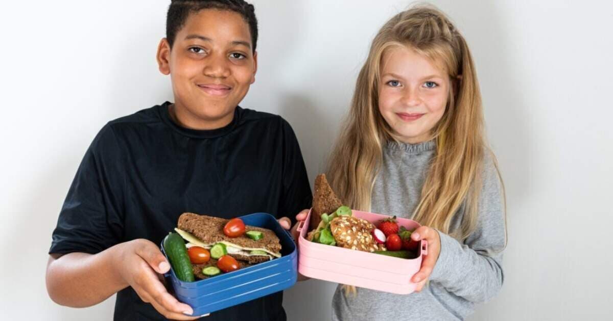 Nutrition Centre webinar for parents: What food and drinks do you give your child to take to primary school?