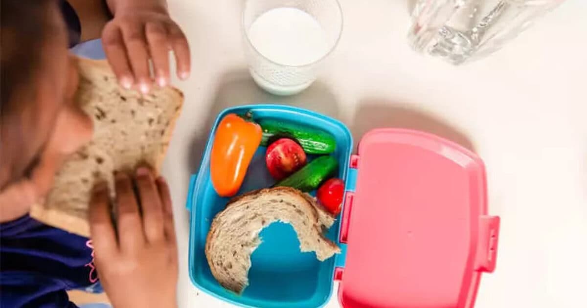 School meal with healthy products offers children more than just a full stomach